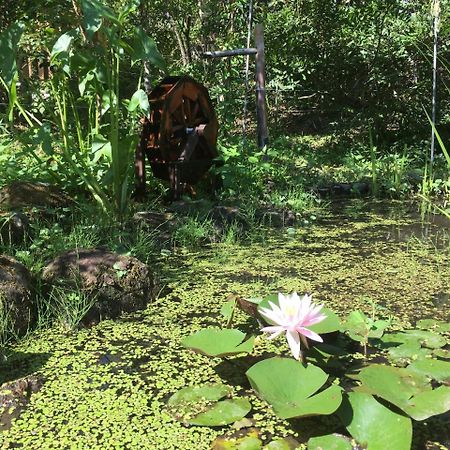 Sansou Syaranoki Otel Yufu Dış mekan fotoğraf